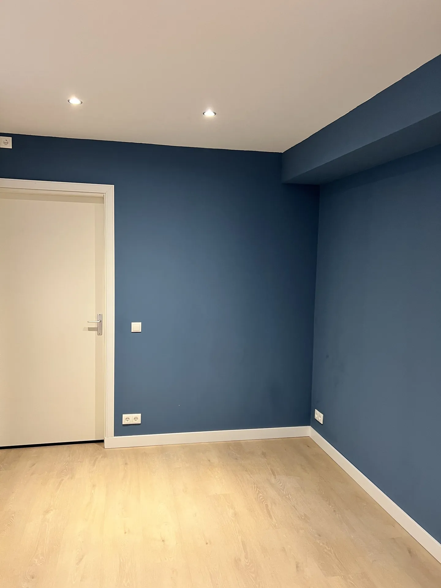 Ruimte met blauwe wanden, witte binnendeur en lichte vloer
