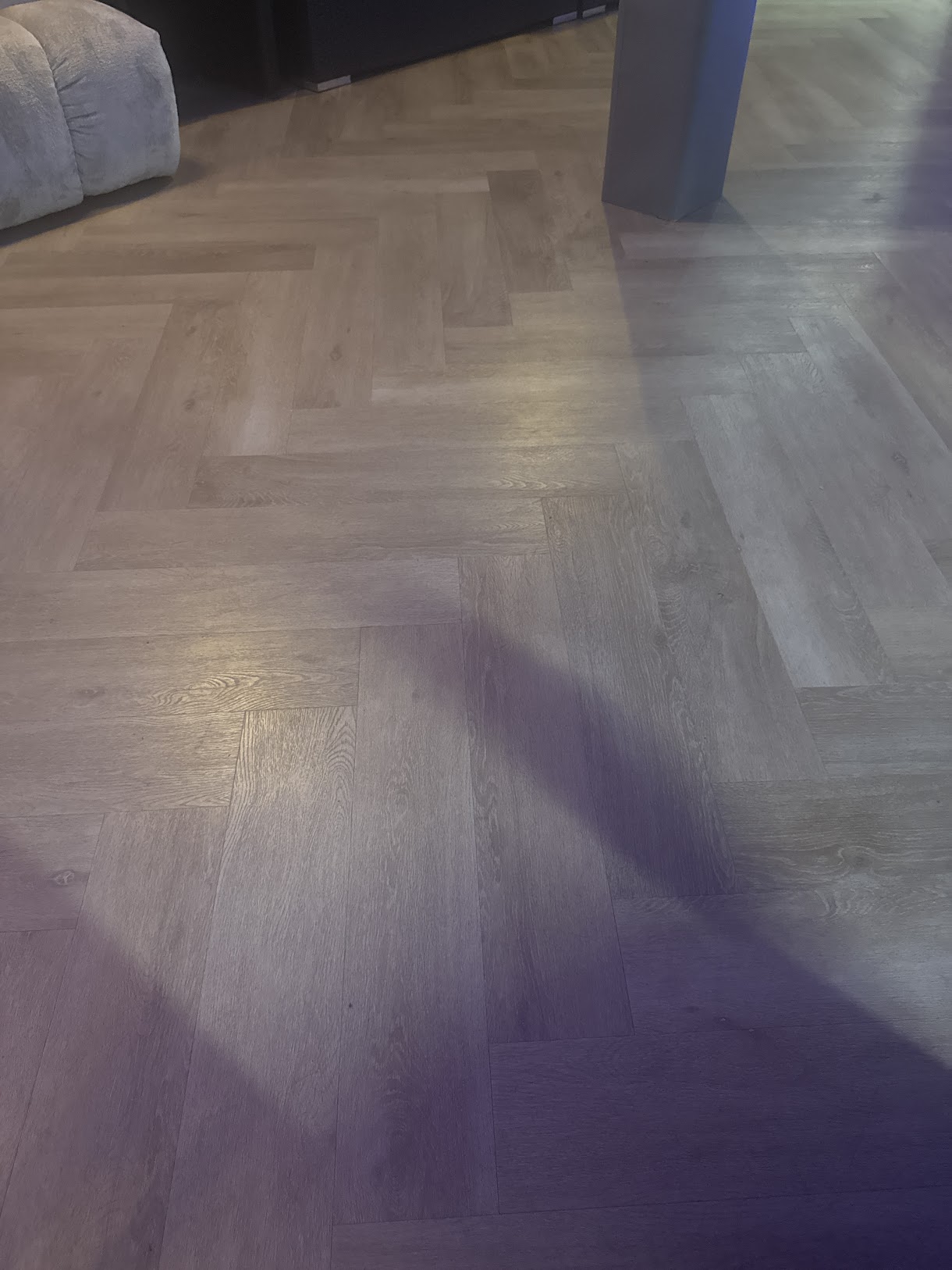 Project Sharon Dolman